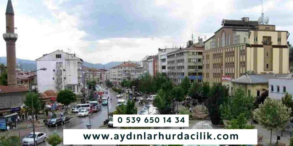 Bolu merkez Hurdacı