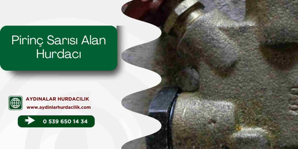 Pirinç Sarısı Alan Hurdacı