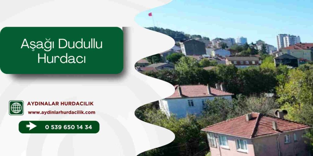 Aşağı Dudullu Hurdacı